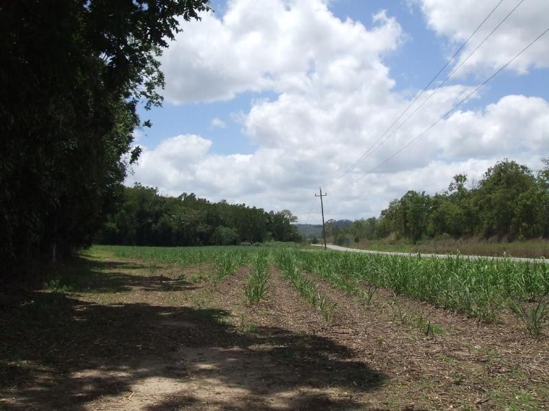 Lot 121 Mackay Eungella Road, Pinnacle QLD 4741