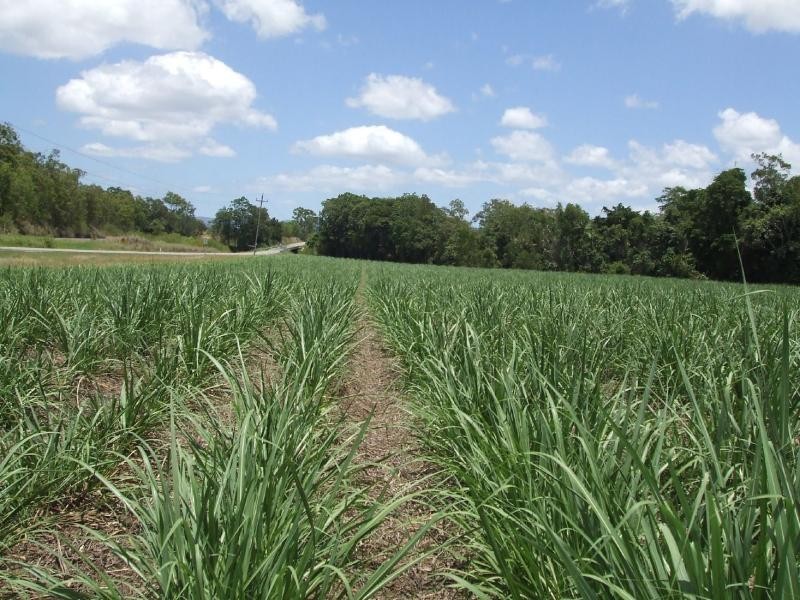 Lot 121 Mackay Eungella Road, Pinnacle QLD 4741