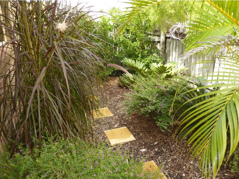 4/3 Ribbon Court, Glenella QLD 4740