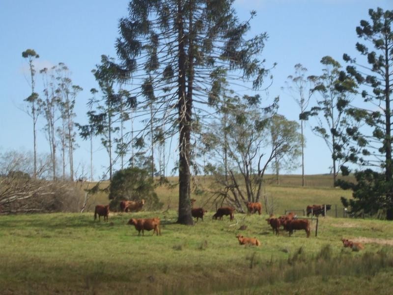 23 Boons Road, Dalrymple Heights QLD 4757