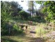 5708 Mackay Eungella Road, Finch Hatton QLD 4756