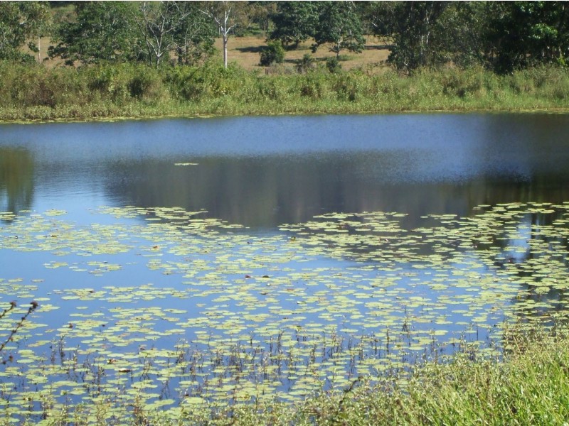 Lot 13 Toons Road, Mount Charlton QLD 4741
