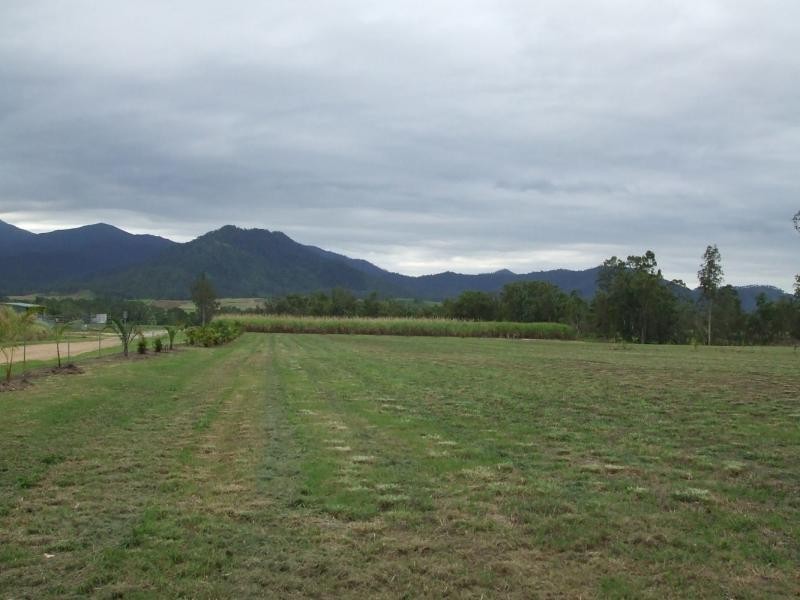 Lot 12 Trueman Depot Road, Pinnacle QLD 4741