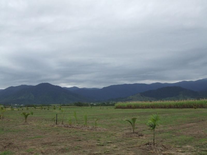 Lot 12 Trueman Depot Road, Pinnacle QLD 4741