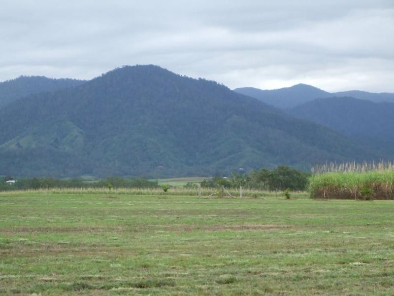 Lot 12 Trueman Depot Road, Pinnacle QLD 4741