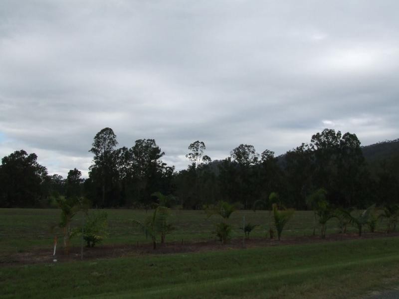 Lot 12 Trueman Depot Road, Pinnacle QLD 4741