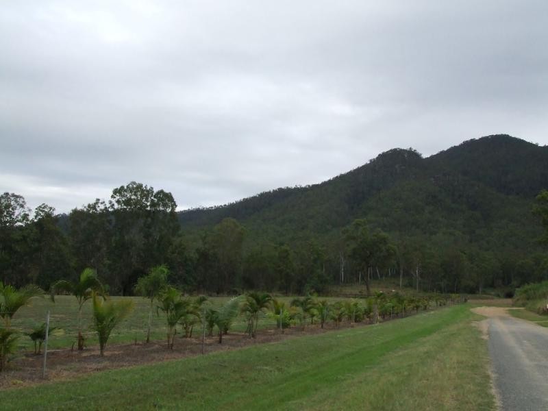 Lot 12 Trueman Depot Road, Pinnacle QLD 4741
