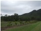 Lot 12 Trueman Depot Road, Pinnacle QLD 4741