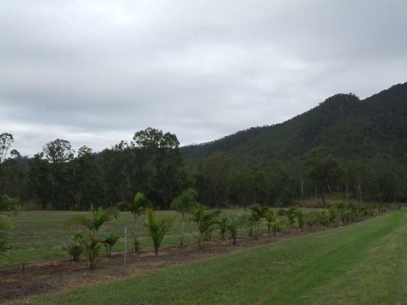 Lot 12 Trueman Depot Road, Pinnacle QLD 4741