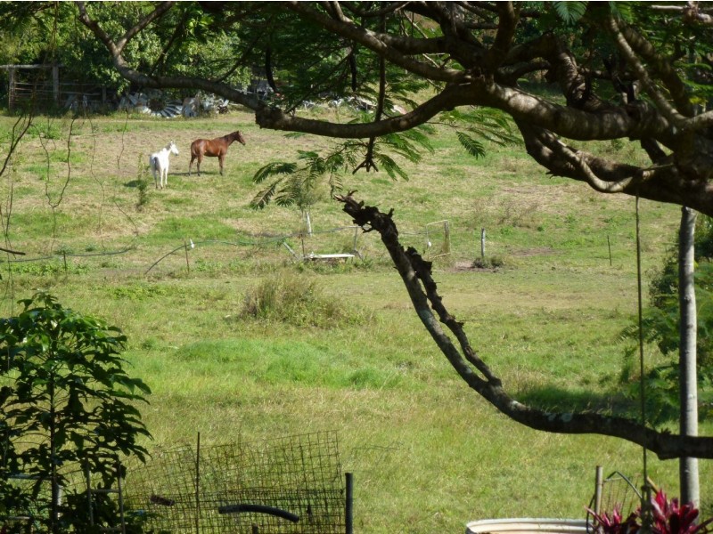 356 Mackay-Habana Road, Nindaroo QLD 4740