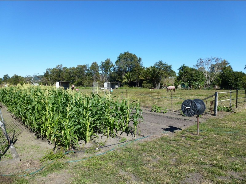 961 Mackay-Eungella Road, Pleystowe QLD 4741