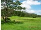 152 Woods Road, Dows Creek QLD 4754
