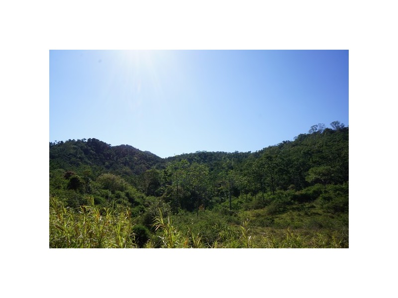 1730 Mirani – Mount Ossa Road, Mount Charlton QLD 4741