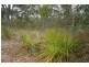 53 Windsor Drive, Hay Point QLD 4740