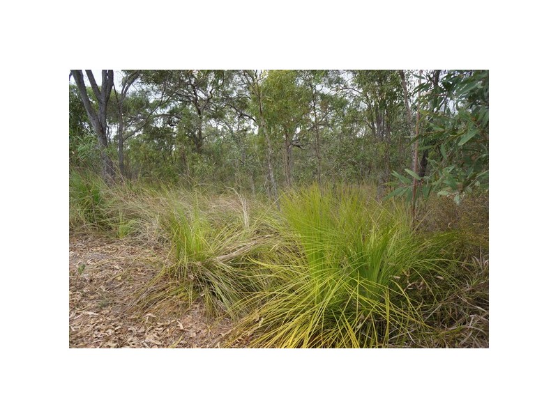 53 Windsor Drive, Hay Point QLD 4740