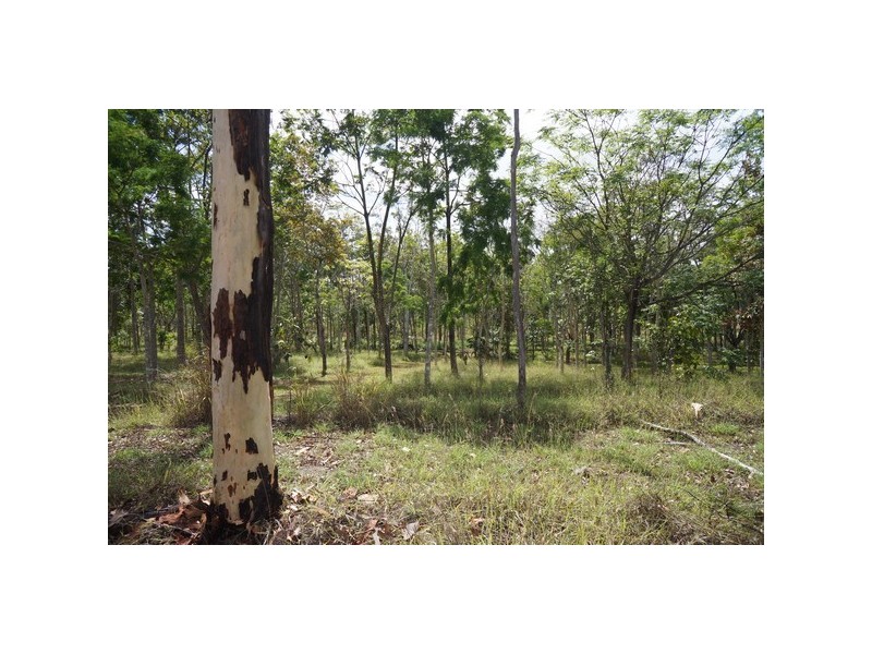 Lot 11 Langdon – Lumburra Road, Dows Creek QLD 4754