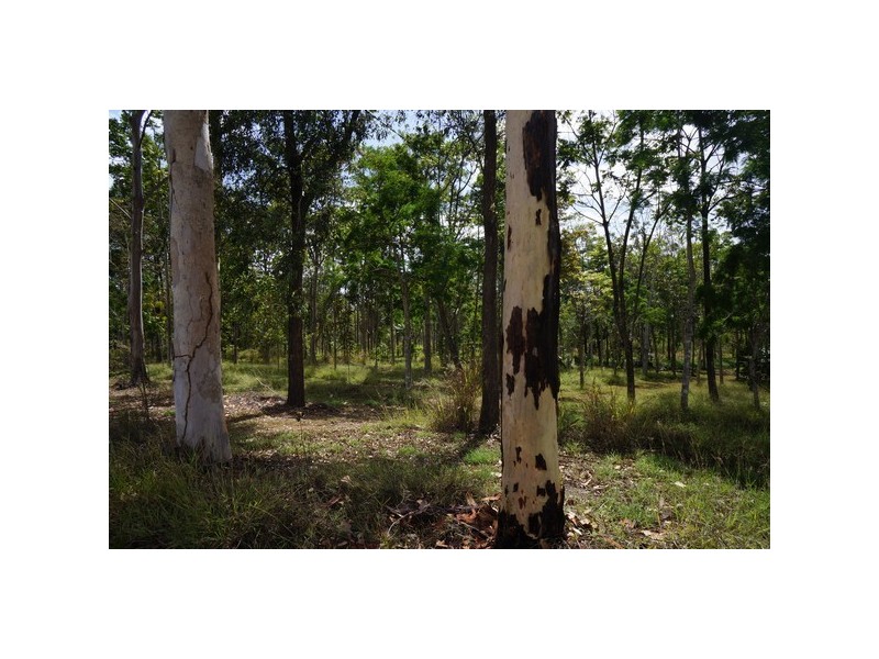 Lot 11 Langdon – Lumburra Road, Dows Creek QLD 4754