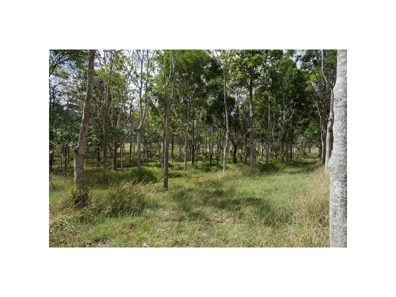 Lot 11 Langdon – Lumburra Road, Dows Creek QLD 4754