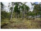 Lot 11 Langdon – Lumburra Road, Dows Creek QLD 4754
