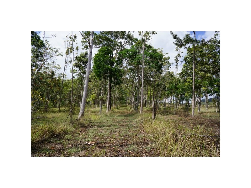 Lot 11 Langdon – Lumburra Road, Dows Creek QLD 4754