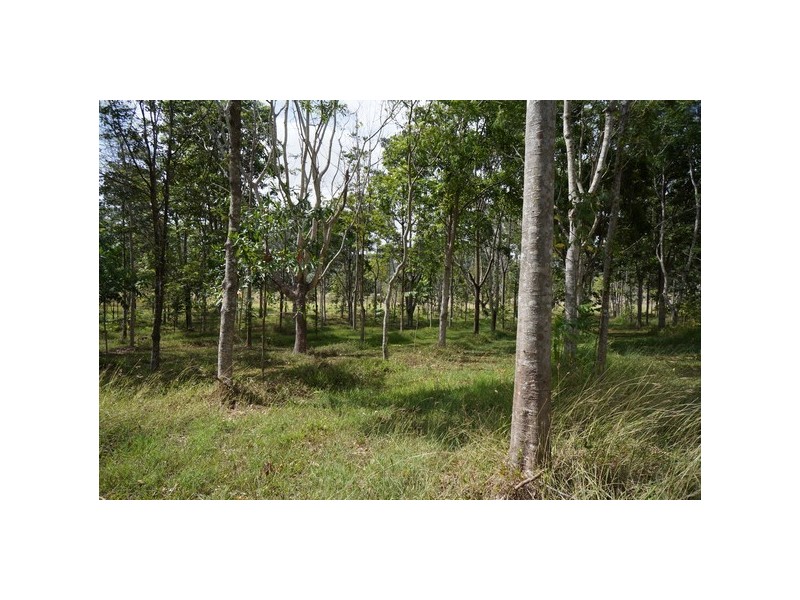 Lot 11 Langdon – Lumburra Road, Dows Creek QLD 4754