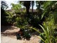 4 Downie Avenue, Bucasia QLD 4750