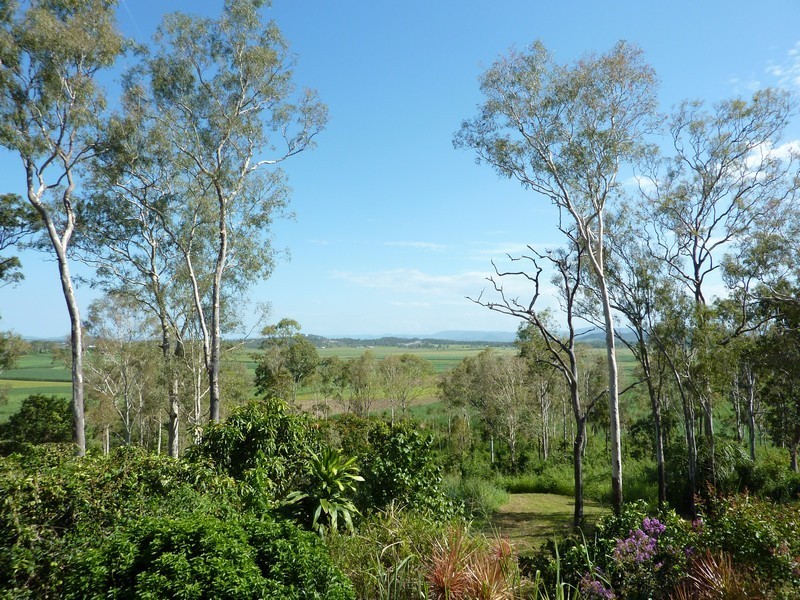 1037 Stockroute Road, Greenmount QLD 4751