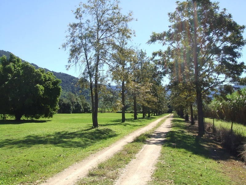 46 Primrose Road, Finch Hatton QLD 4756