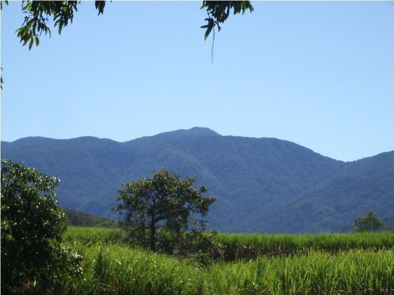 46 Primrose Road, Finch Hatton QLD 4756