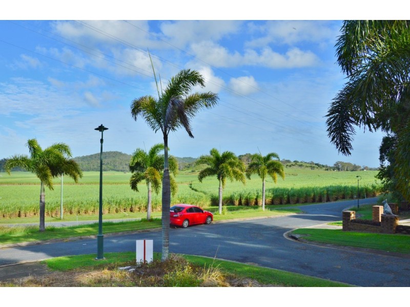 7 Aldo Court, Glenella QLD 4740