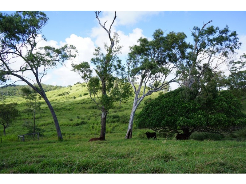 159 Fenech Avenue, Hay Point, Mackay QLD 4740