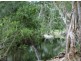 370 Wagoora-Yalboroo Road, Yalboroo QLD 4741