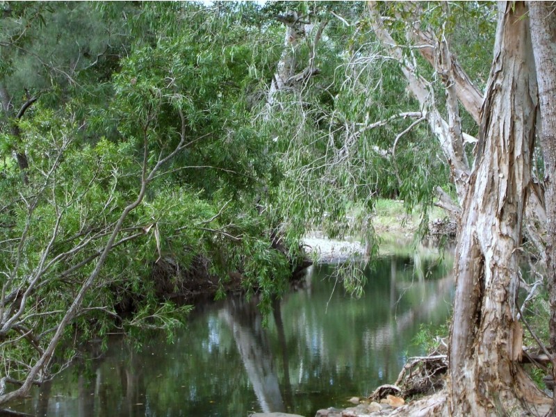 370 Wagoora-Yalboroo Road, Yalboroo QLD 4741