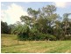 370 Wagoora-Yalboroo Road, Yalboroo QLD 4741