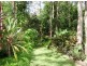 69 Pup Creek Road, Gargett QLD 4741