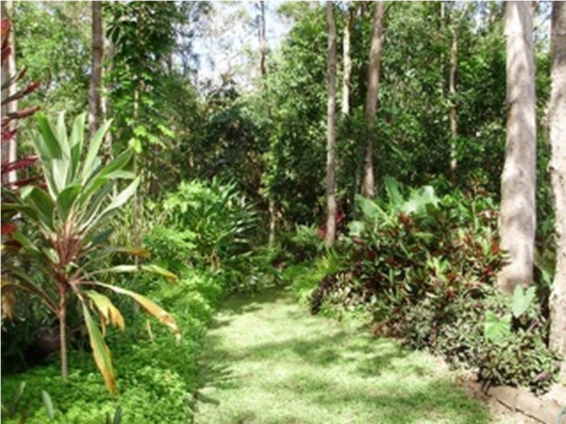 69 Pup Creek Road, Gargett QLD 4741
