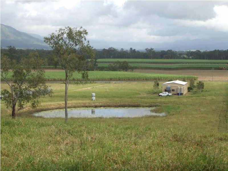 350 Owens Creek Loop Road, Gargett QLD 4741