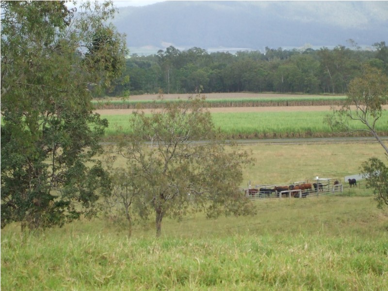 350 Owens Creek Loop Road, Gargett QLD 4741