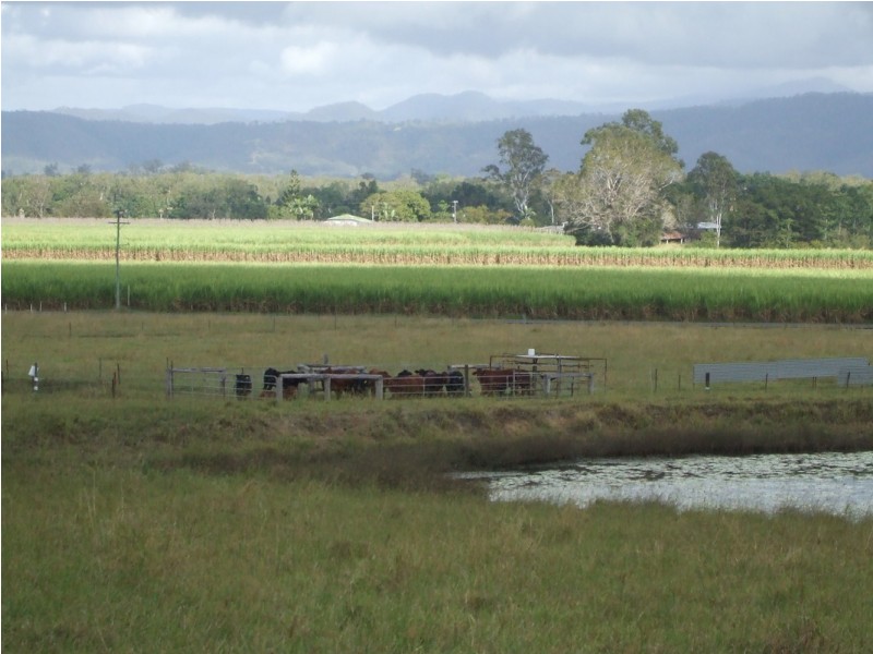 350 Owens Creek Loop Road, Gargett QLD 4741