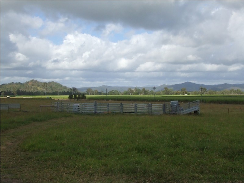 350 Owens Creek Loop Road, Gargett QLD 4741