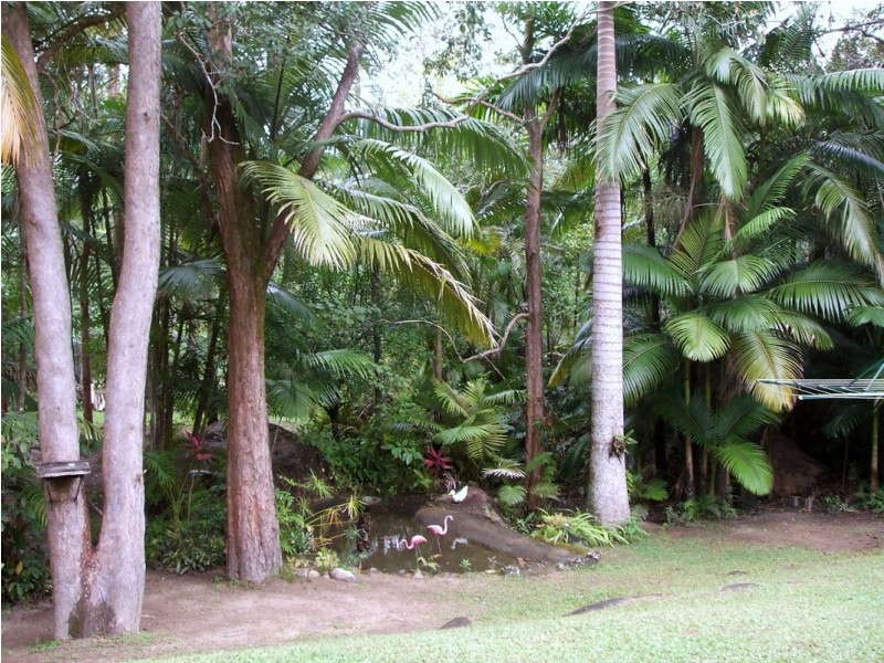 22 Boulder Road, Finch Hatton QLD 4756