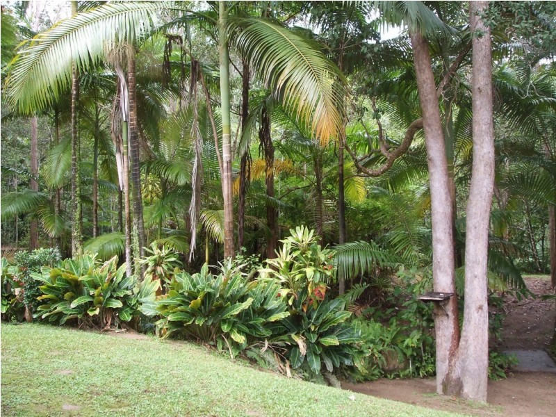22 Boulder Road, Finch Hatton QLD 4756