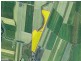 Lot 3 Oakenden Rd, Oakenden QLD 4741