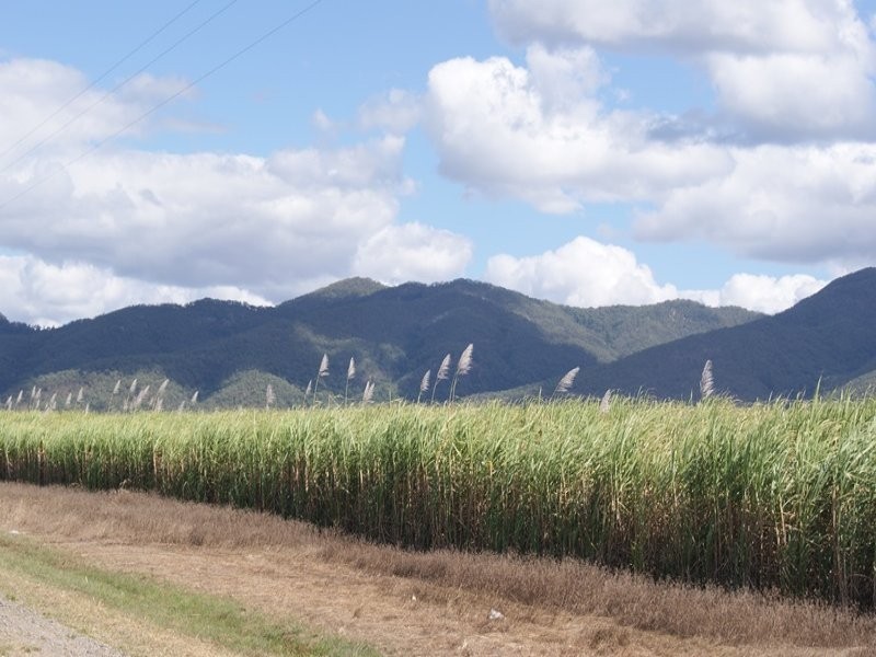 Lot 3 Oakenden Rd, Oakenden QLD 4741