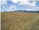 Lot 3 Oakenden Rd, Oakenden QLD 4741