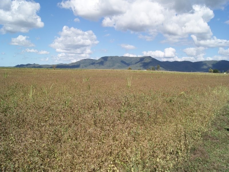 Lot 3 Oakenden Rd, Oakenden QLD 4741