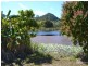14 Said Road, Seaforth QLD 4741