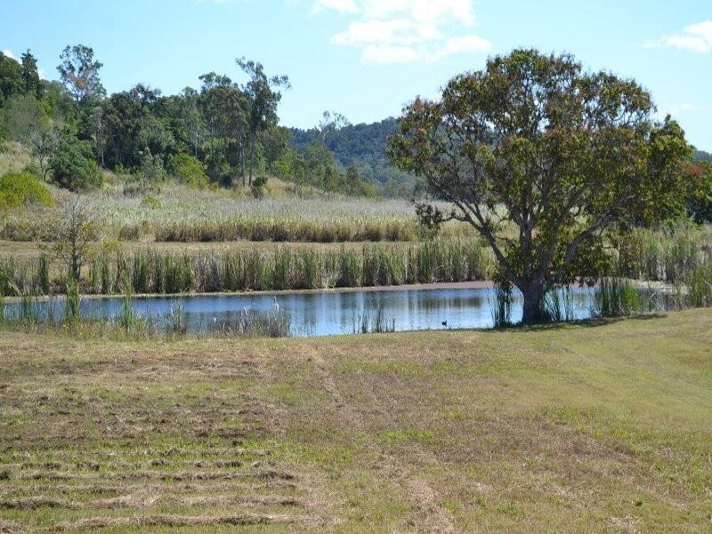 14 Said Road, Seaforth QLD 4741