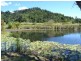 14 Said Road, Seaforth QLD 4741
