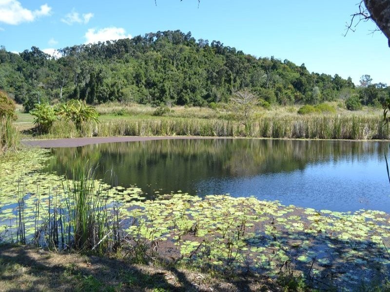14 Said Road, Seaforth QLD 4741
